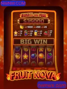 Descubra o Mundo Fascinante de FruitNova e Como Jogar